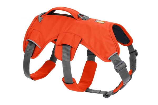 Blaze Orange